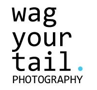 Wag Your Tail Photography - Denver, CO 80212 - (303)931-5420 | ShowMeLocal.com