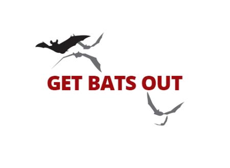 Get Bats Out Pagosa Springs Pagosa Springs (970)459-2171
