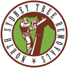 North Sydney Tree Removals Brookvale, Nsw (29) 0538 8700