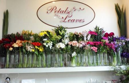 Petals And Leaves - Cherrybrook, NSW 2126 - (02) 9980 7411 | ShowMeLocal.com