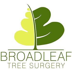 Broadleaf Tree Surgery Maidstone 08009 995323