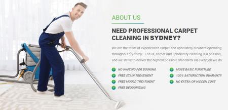 Bright Carpet Cleaning Experts Parramatta 0424 485 172