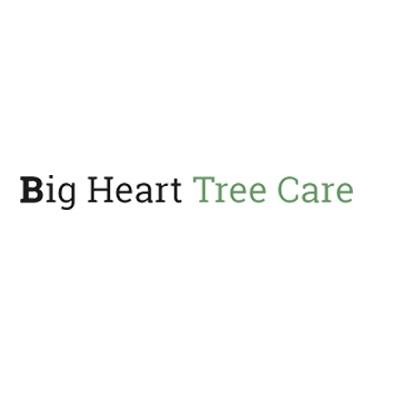 Big Heart Tree Care - Reading, Berkshire RG30 4EZ - 44786 172407 | ShowMeLocal.com