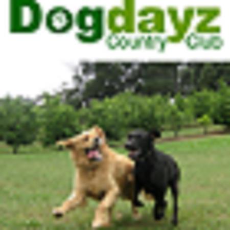 Dogdayz - Toolern Vale, VIC 3337 - (98) 4432 3292 | ShowMeLocal.com