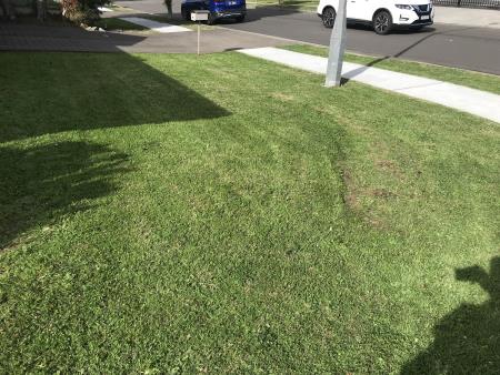 Best kept lawns - Westmead, NSW - 0415 093 424 | ShowMeLocal.com