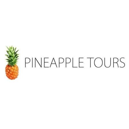 Pineapple Tours - Mount Nathan, QLD 4211 - 0466 331 232 | ShowMeLocal.com