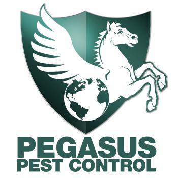 Pegasus Pest Control - A Division of Official Pest Prevention - Sacramento, CA - (916)457-2011 | ShowMeLocal.com