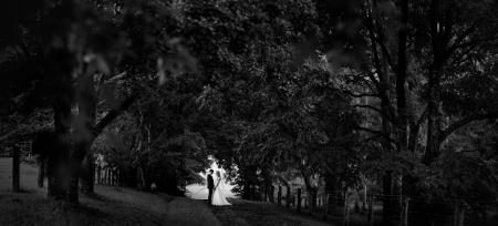 Vivid Photography Weddings - Maleny, QLD 4552 - 0413 150 003 | ShowMeLocal.com