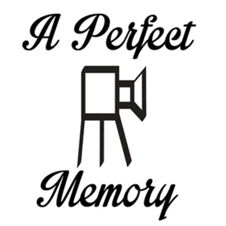 A Perfect Memory Bristol 07799 430453