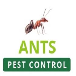 Ants Pest Control Perth - Perth, WA 6000 - (08) 6244 4282 | ShowMeLocal.com