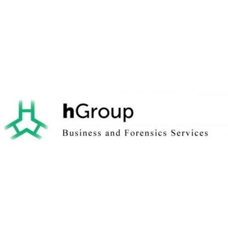 hGroup LLC Dallas (972)919-6105