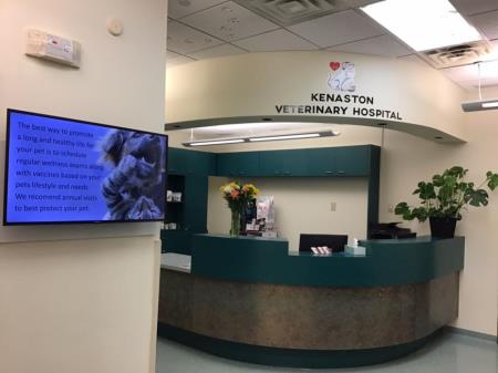 Kenaston Veterinary Hospital - Winnipeg, MB R3Y 0A1 - (204)219-6607 | ShowMeLocal.com