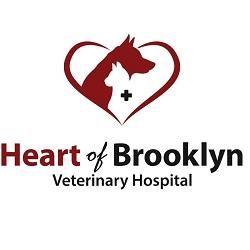 Heart of Brooklyn Veterinary Hospital - Flatbush - Brooklyn, NY 11226 - (718)282-5475 | ShowMeLocal.com
