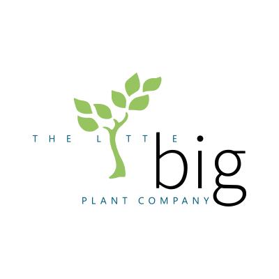 The Little Big Plant Company - Regina, SK S4N 6A9 - (306)737-4451 | ShowMeLocal.com