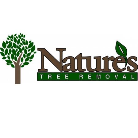 Nature's Tree Removal of Houston - Conroe, TX 77385 - (713)824-9036 | ShowMeLocal.com