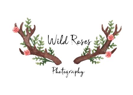 Wild Roses Photography - Elgin, Morayshire IV30 6TP - 07817 861453 | ShowMeLocal.com
