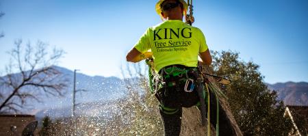 King Tree Service - Colorado Springs, CO 80918 - (719)265-1704 | ShowMeLocal.com