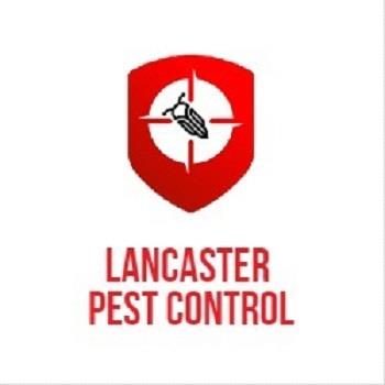 Lancaster Pest Control - Lancaster, PA 17603 - (717)408-6488 | ShowMeLocal.com