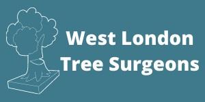 West London Tree Surgeons Hayes 020 8068 2923