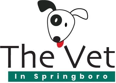 The Vet In Springboro - Springboro, OH 45066 - (937)556-4414 | ShowMeLocal.com