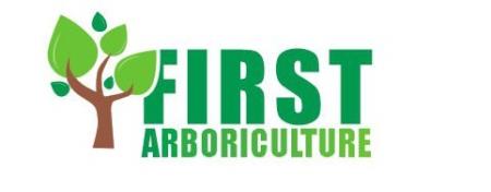 First arboriculture Waterlooville 07479 683055