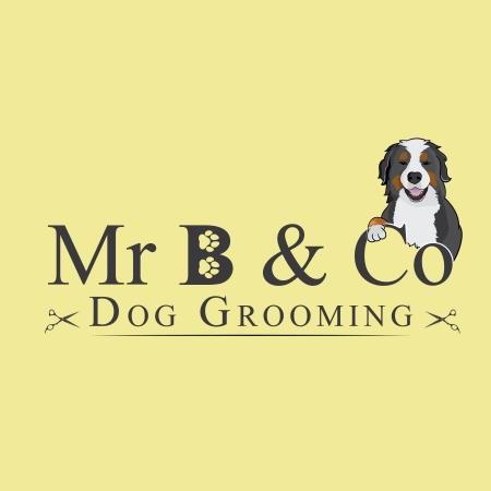 Mr B & Co Dog Grooming - Wrexham, Clwyd LL12 9EF - 07731 571853 | ShowMeLocal.com