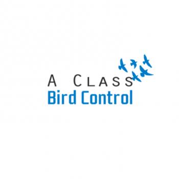 A Class Bird Control - Murrumbeena, VIC - 0414 173 173 | ShowMeLocal.com