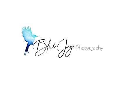 Blue Jay Photography Birmingham 07948 156183