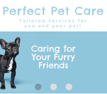 Perfect Pet Care - Harrogate, North Yorkshire HG1 3EE - 07972 485735 | ShowMeLocal.com