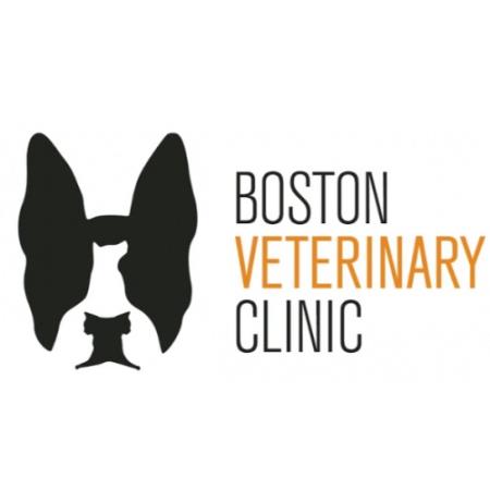 Boston Veterinary Clinic - Boston, MA 02210 - (857)362-8672 | ShowMeLocal.com