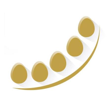 Golden Eggs Home Loans - Leichhardt, NSW 2040 - (02) 8095 9251 | ShowMeLocal.com