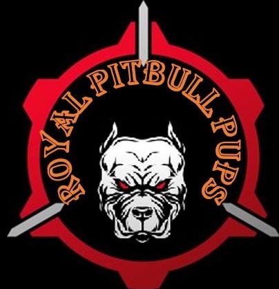 Royal Pitbull Pups Home - Austin, TX 78753 - (614)996-3088 | ShowMeLocal.com