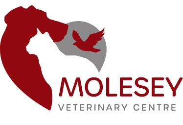 Molesey Veterinary Centre - East Molesey, Surrey KT8 9LE - 020 8979 1384 | ShowMeLocal.com