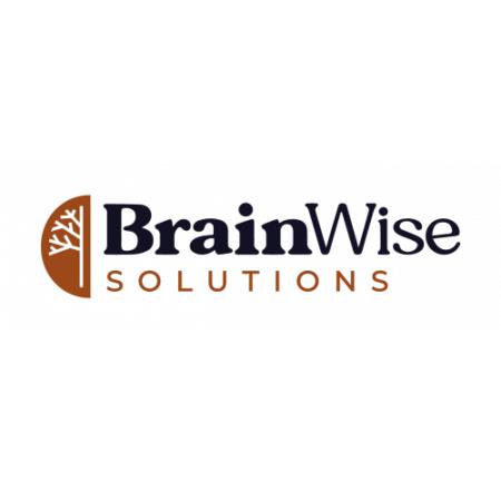 Brainwise Solutions - Mooresville, NC 28115 - (704)327-5911 | ShowMeLocal.com