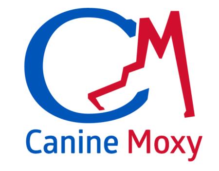 Canine Moxy Buda (512)766-9987