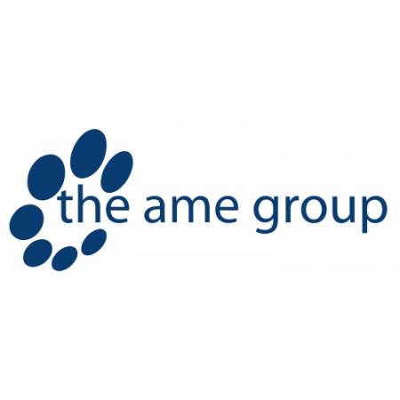 The AME Group - Baton Rouge, LA 70808 - (225)935-2292 | ShowMeLocal.com