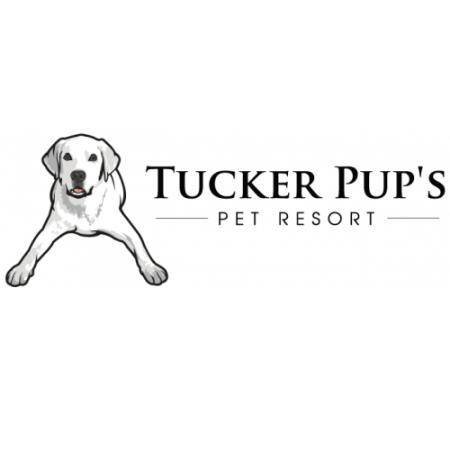 Tucker Pup's Pet Resort - Chicago, IL 60607 - (312)289-8787 | ShowMeLocal.com