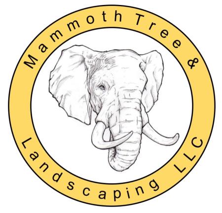AAA Mammoth Tree & Landscaping LLC - Tucson, AZ 85701 - (520)272-6813 | ShowMeLocal.com