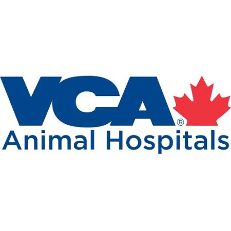 VCA Canada Cats Only Animal Hospital - Vancouver, BC V6J 1L6 - (604)734-2287 | ShowMeLocal.com