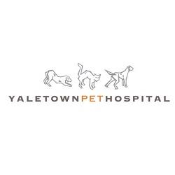 Yaletown Pet Hospital - Vancouver, BC V6B 1C4 - (604)682-7389 | ShowMeLocal.com