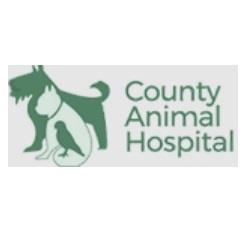 County Animal Hospital - New City, NY 10956 - (845)634-4607 | ShowMeLocal.com