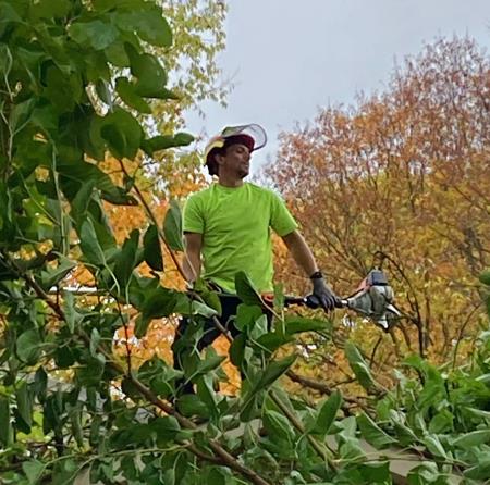 Terrys Tree Service, LLC - Noblesville, IN 46062 - (317)316-1981 | ShowMeLocal.com