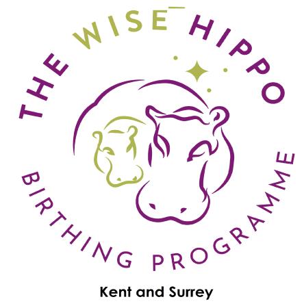 The Wise Hippo Kent And Surrey - Sevenoaks, Kent TN13 3PP - 07969 446834 | ShowMeLocal.com