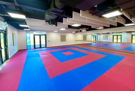 Eagle Institute - Karate - Kickboxing Slough 07943 903052