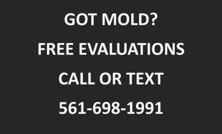 Affordable Mold Testing and Assessments Boca Raton (561)698-1991