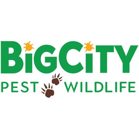 Big City Pest And Wildlife - Houston, TX 77017 - (346)279-1120 | ShowMeLocal.com