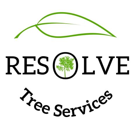 Resolve Tree Services - Castle Hill, NSW 2154 - 0493 397 908 | ShowMeLocal.com