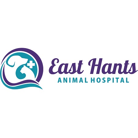 East Hants Animal Hospital - Elmsdale, NS B2S 1J2 - (902)883-8787 | ShowMeLocal.com