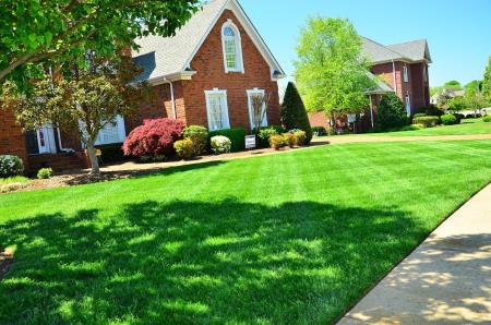 Heralds Lawn Care And More Maysville (606)584-8091