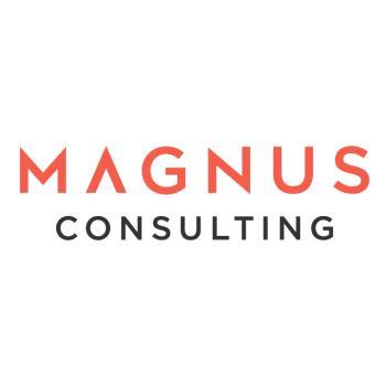 Magnus Consulting Romsey 07958 958303